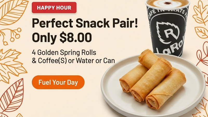 4 Spring Rolls Combo